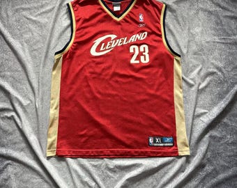 lebron jersey dress