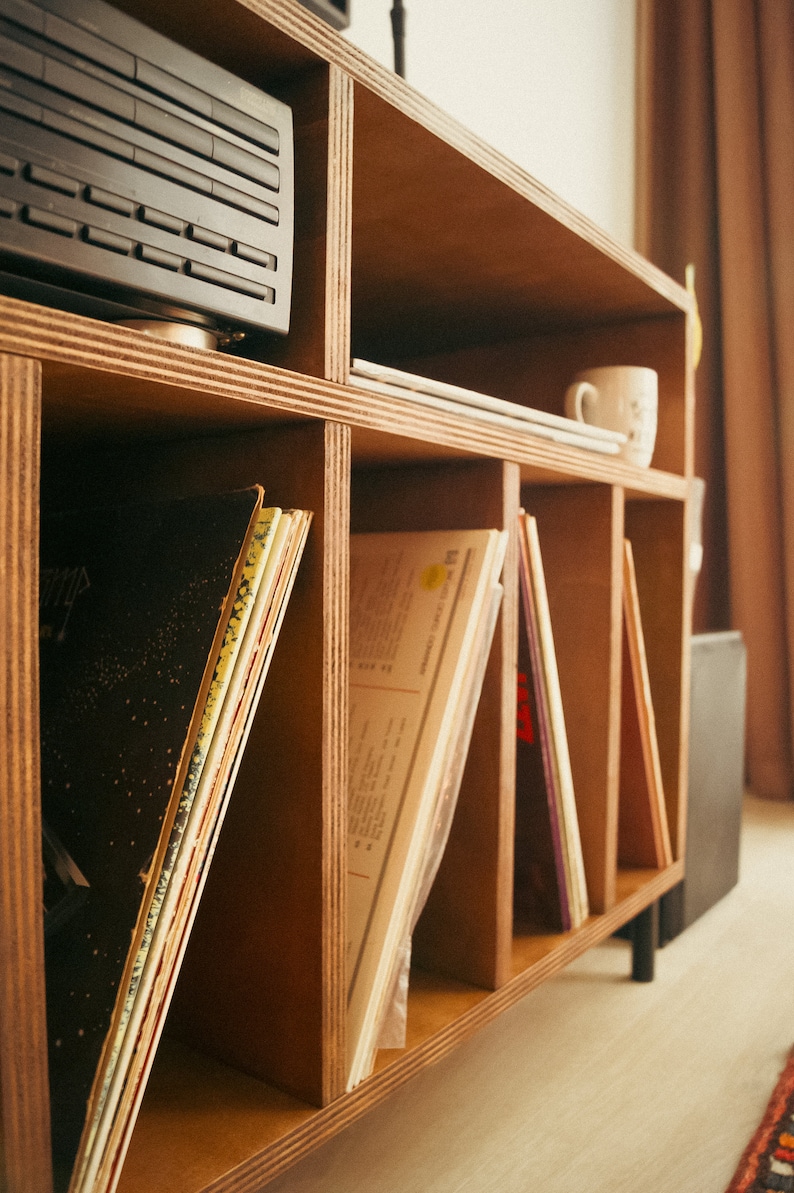 May include: A wooden shelf unit with multiple compartments, filled with vinyl records and a white ceramic mug. The shelf is made of plywood and has a natural wood finish.