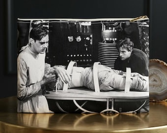 Frankenstein and Bride of Frankenstein Accessory Pouch - Vintage, Horror, Movie, Literary, Cinema, Universal, Monster, Film, Old Hollywood
