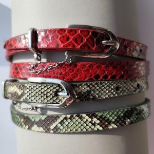 Può includere: Quattro cinture sovrapposte con un motivo a pelle di serpente. La cintura superiore è rossa, la seconda è rossa, la terza è verde e marrone, e la inferiore è verde e marrone.