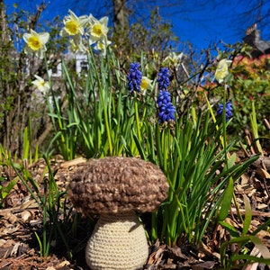 Crochet cep mushroom
