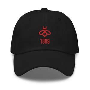 Bees 1889 Minimalist Design Embroidered Dad Hat Soccer Football Cap