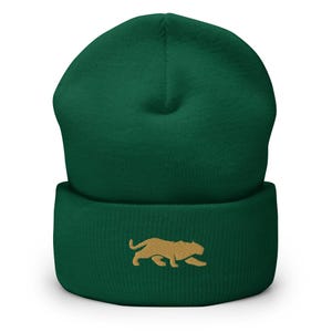 Czapka futbolowa Jacksonville Minimalist Design z haftowanym mankietem