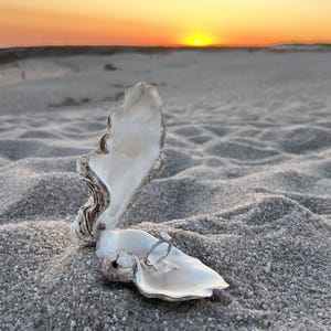 Könnte beinhalten: Ein silberfarbener Ring mit einem kleinen klaren Steinbesatz liegt in einer geöffneten, schillernd weißen Austernschale. Die Schale steckt teilweise im Sand eines Strandes bei Sonnenuntergang, wobei die Horizontlinie im Hintergrund zu sehen ist.