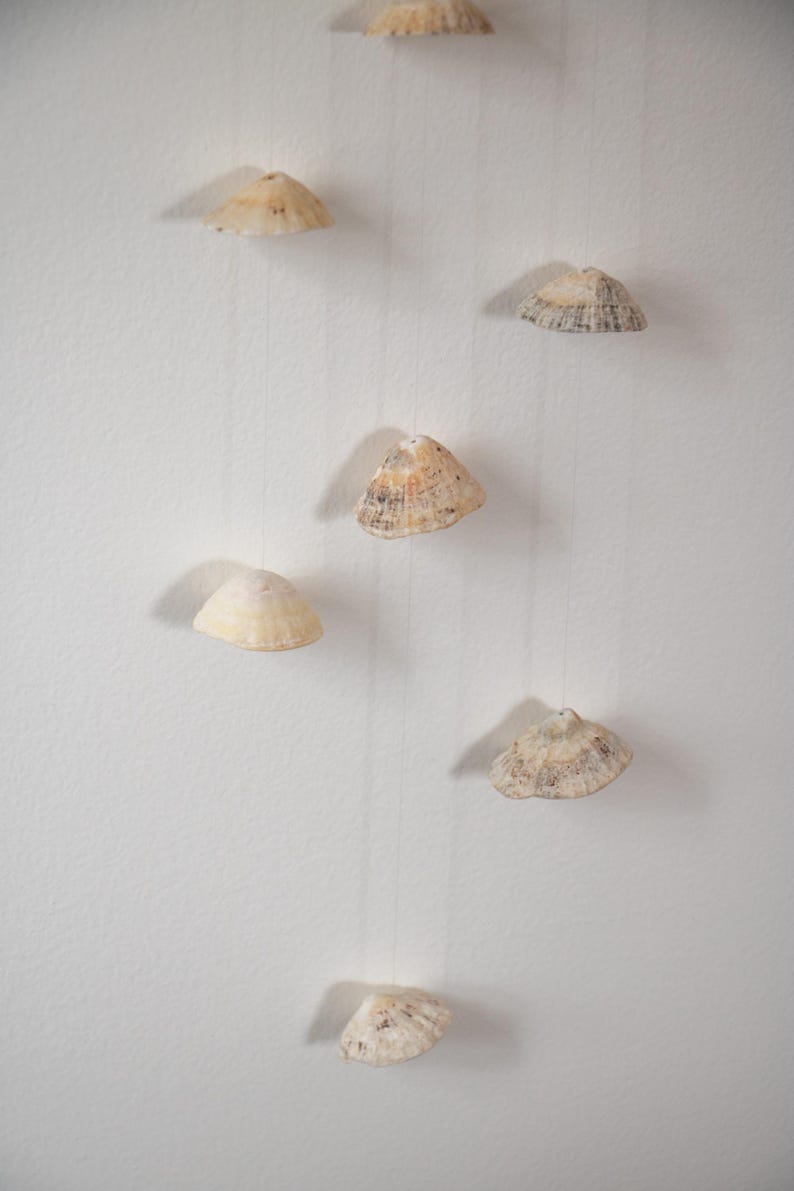 Mobile Wall Decoration Shell and Physalis - Natural Boho Art - Etsy