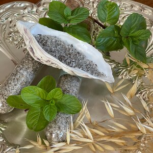 Könnte beinhalten: Ein verzierter silberner Tablett präsentiert eine weiße Muschel, gefüllt mit grauen Granulaten, zusammen mit Glasfläschchen mit ähnlichem Inhalt. Frische grüne Minzzweige und getrocknete Weizenähren setzen natürliche Akzente. Das Arrangement deutet auf ein Spa- oder Wellness-Thema hin.