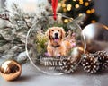 Custom Dog Memorial Ornament, Custom Pet Memorial Ornament, Forever Loved Ornament, Cat Memorial Ornament, Pet Loss Gift, Christmas Ornament