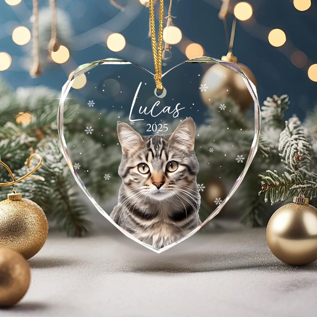 Custom Pet Ornament 2025, Personalized Cat Christmas Ornament, Pet ...