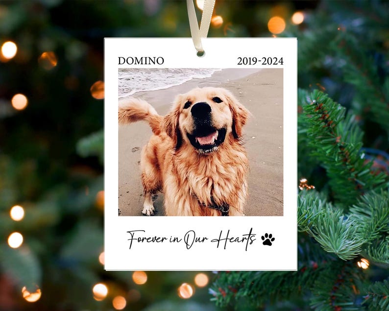 Personalized Pet Memorial Photo Ornament, Christmas Dog Memorial ...