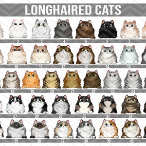 May include: A digital illustration of 41 different longhaired cat breeds. The cats are all facing forward and have different colors and patterns. The image is labeled "Longhaired Cats" at the top.