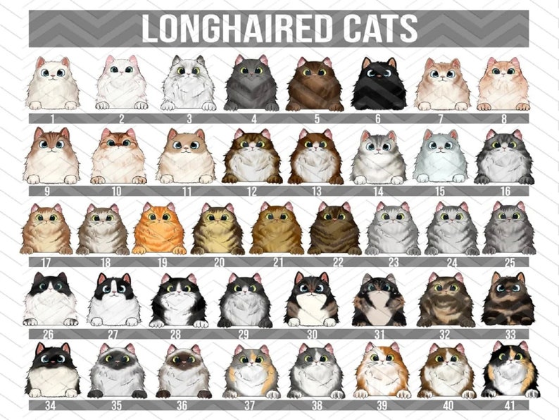 May include: A digital illustration of 41 different longhaired cat breeds. The cats are all facing forward and have different colors and patterns. The image is labeled "Longhaired Cats" at the top.