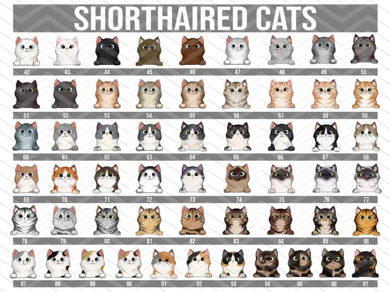 May include: A chart of 97 different short-haired cat illustrations. Each cat is depicted in a square with a white background and a number from 42 to 97. The cats are all facing forward with their heads tilted slightly down. The cats are all different colors and patterns.