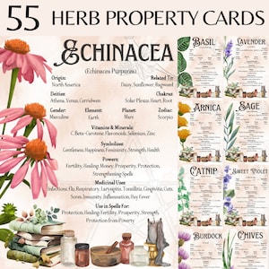 Herb Cards Watercolour Herb Cards Vintage Witch Style Herbal Healing Properties Medicinal Herbal Reference Apothecary Journal Herb Info