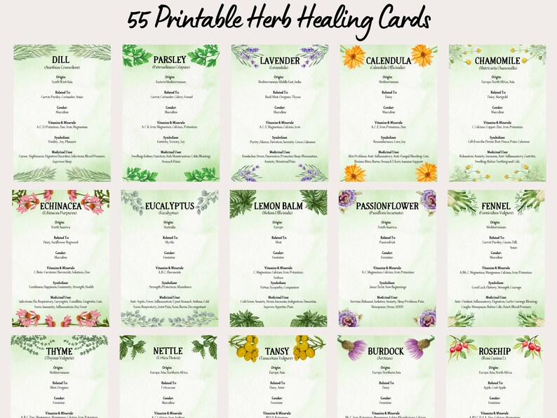 Printable Herbal Healing Cards, Watercolour Herbs, Medicinal Herbal
