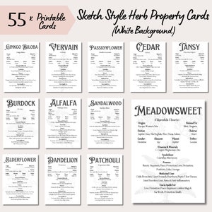 Herb Cards Printable Sketch Style Herb Card Deck Download Medicinal Herbal Reference Apothecary Cards Herbal Healing Info Herb Journal