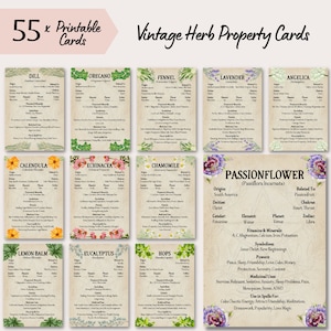 Printable Herb Cards, Watercolour Herbs, Vintage Witch Style with Pentagram, Medicinal Herbal Reference, Apothecary Journal Pages, Herb Info