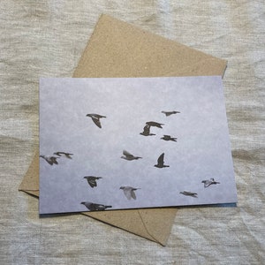 Postkarte "Tauben"