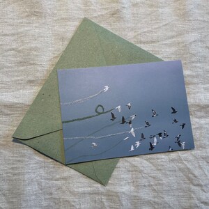Illustration de carte postale "Colombe"