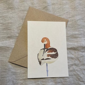 Carte postale "Avocette"
