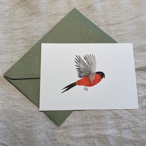 Carte postale "Gimpel"