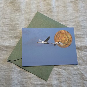 Carte postale "Cygne"