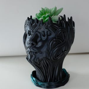 Puede incluir: Macetero de cabeza humana impreso en 3D en negro y verde con una planta suculenta creciendo en su interior.