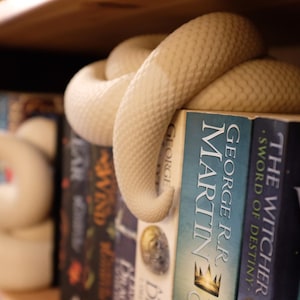 Puede incluir: Un sujetalibros de serpiente blanco de cer&aacute;mica sostiene una pila de libros. El libro de arriba es un libro de bolsillo con el t&iacute;tulo "George R.R. Martin" y el texto "A Song of Ice and Fire" en el lomo. Los otros libros son "The Witcher" y "The Last Wish".