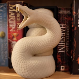 Puede incluir: Un sujetalibros de cer&aacute;mica blanca en forma de serpiente con la boca abierta. El sujetalibros est&aacute; sentado en una estanter&iacute;a con varios libros, incluyendo "Fear" de Patrick Rothfuss.