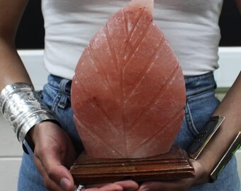 Fern Himalayan Salt Lamp • Natural Pink Crystal Rock Lamp