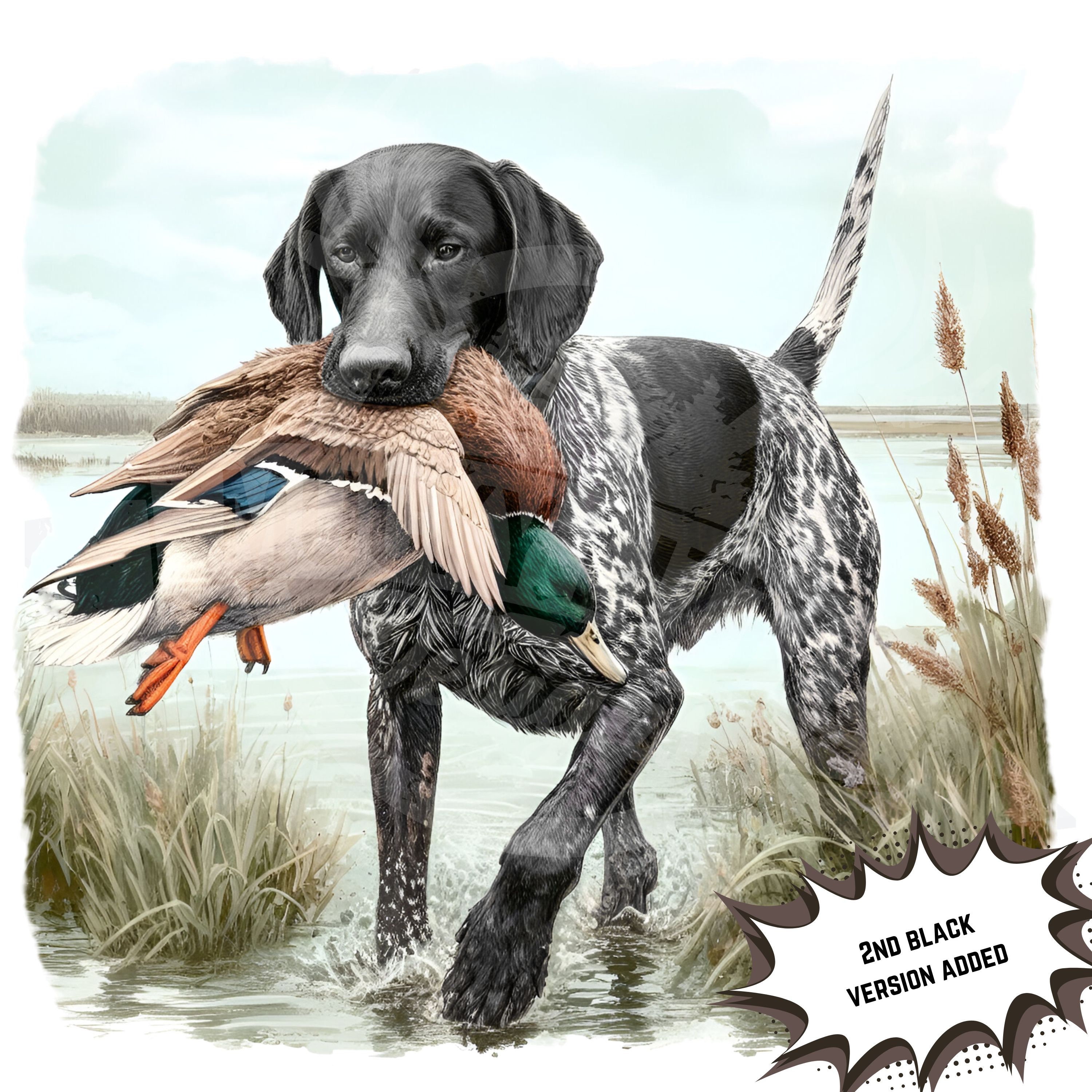 German shorthaired pointer coat online