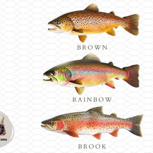 Dessins de sublimation de pêche à la truite pour chemises Truite arc-en-ciel, truite brune, fichiers d'impression d'omble de fontaine Dessins de pêche à la mouche pour gobelets Truite png