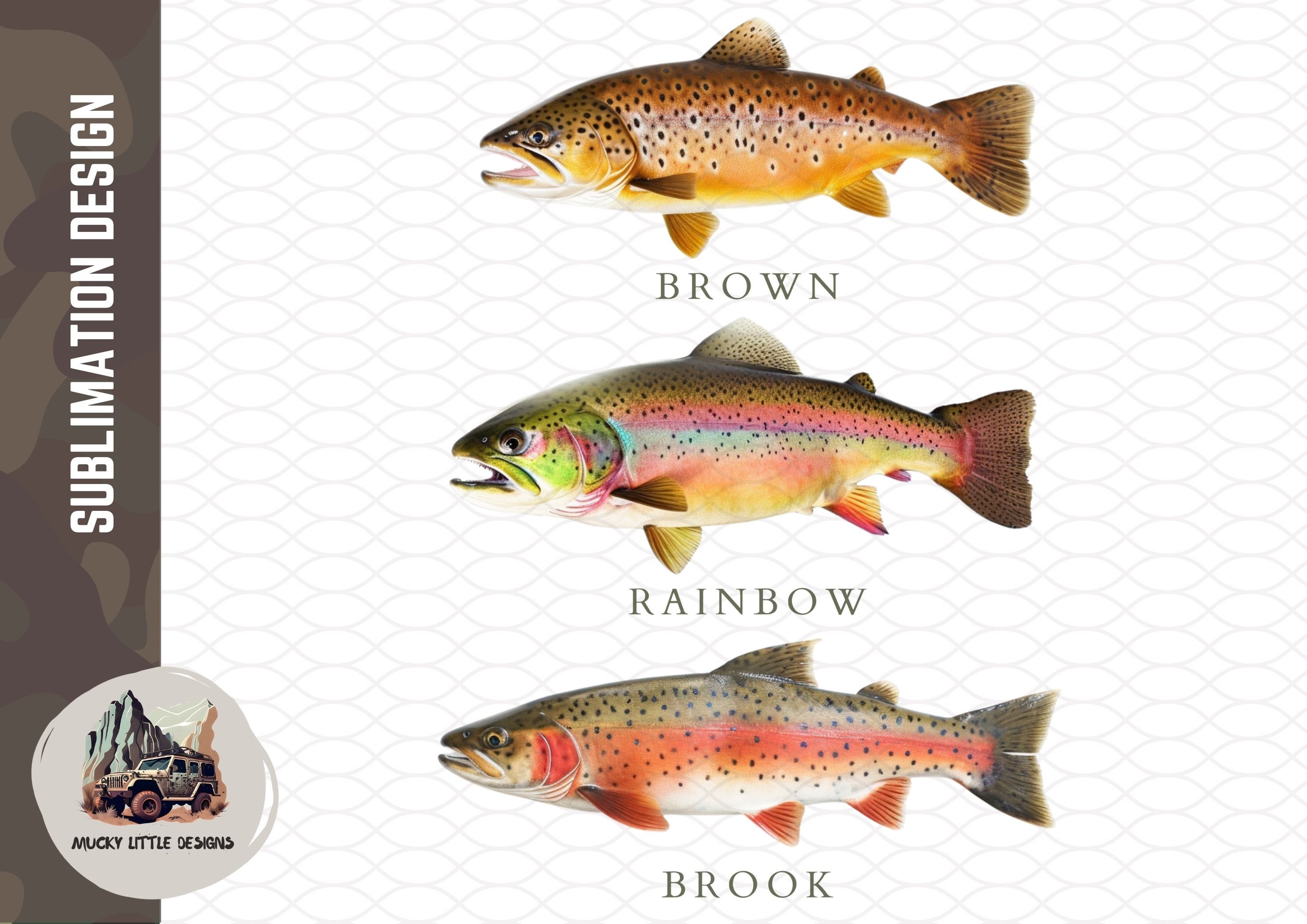 Brook Trout Fish Art White Wash Wood Frame Home Decor Wall Prints 