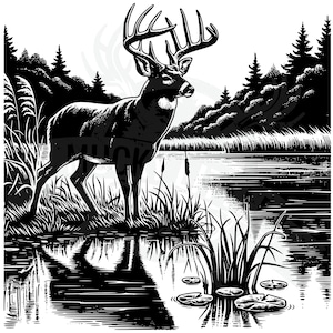 ciervo junto al lago svg / ciervo de cola blanca Svg Big Buck Svg Caza americana svg Caza de ciervos svg Camisa de ciervo Archivos de diseño Cricut Silueta vector