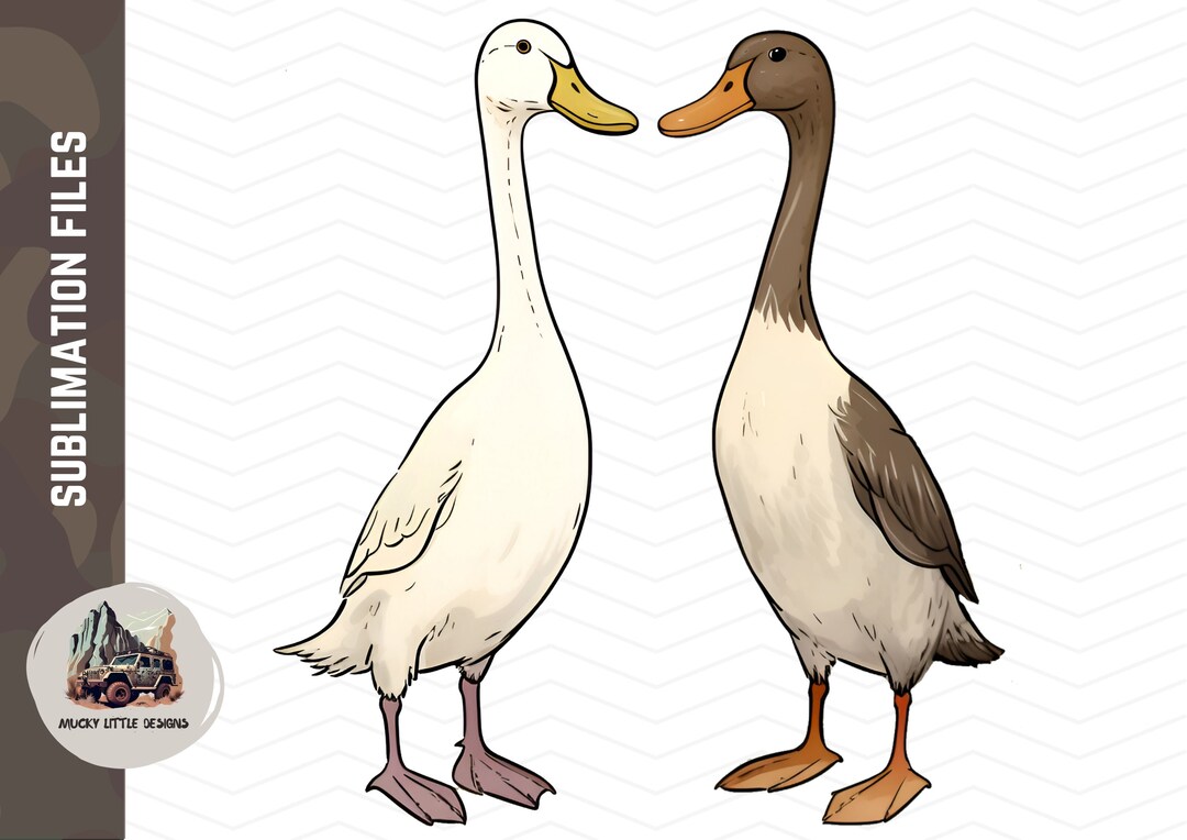 2 Runner Ducks Prints Runner Duck Png Indian Runner Duck Png Etsy