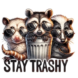 Restez trash png | citation sarcastique png | panda poubelle | Drôle de raton laveur png, opossum png, mouffette png, drôles d'animaux png, téléchargement immédiat
