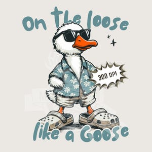 Boys Last Day School Boy png, Silly Goose png, Summer Boy png 300 dpi transparante achtergrond afdrukbestand