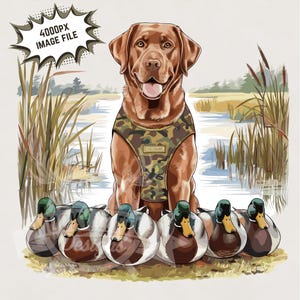 Perro con pato png / Sublimación de caza de patos Caza de patos Png Perro labrador marrón Perro de caza Clipart fondo transparente archivo de impresión digital dtg