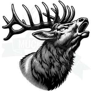 detailed bugling bull elk Svg, Elk hunting SVG, elk laser cut file Download, Elk Hunting SVG, Bull elk SVG, Elk head svg, Hunting Design