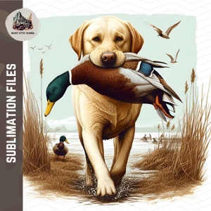 Cão labrador retriever marrom dourado de <br> Entrega Rápida? Brown Lab PNG Caça ao Pato | Cão de Caça png Duck Hunter Sublimação Aquarela Labrador Bird Dog Hunt