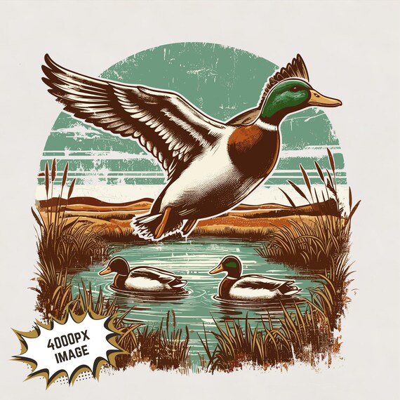 Anatra Selvatica Clipart In Acqua