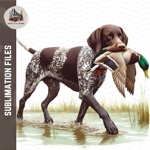 Diseño de sublimación de caza de patos GSP / Braco alemán de pelo corto PNG / Cazador de arte de pared de caza de patos / Perro pájaro recuperando pato mallard
