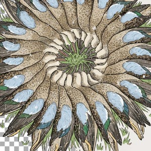 May include: A circular illustration featuring ducks in a spiral arrangement. The ducks are depicted with brown and tan plumage, complemented by blue and green wing details. The centre shows green grass, with a distressed, vintage aesthetic in the background.