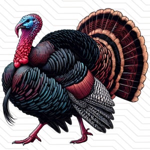 Turkey png Turkey Hunting png Turkey hunt sublimation design shirt hand drawn Turkey png transparent background clipart digital print