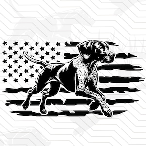 May include: Black and white illustration of a German Shorthaired Pointer dog running in front of an American flag.