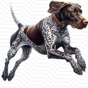 Puntero alemán de pelo corto png / caza de patos png / Walker Dog art / Diseño de sublimación de perros de caza / Perro de caza png / perro saltando png