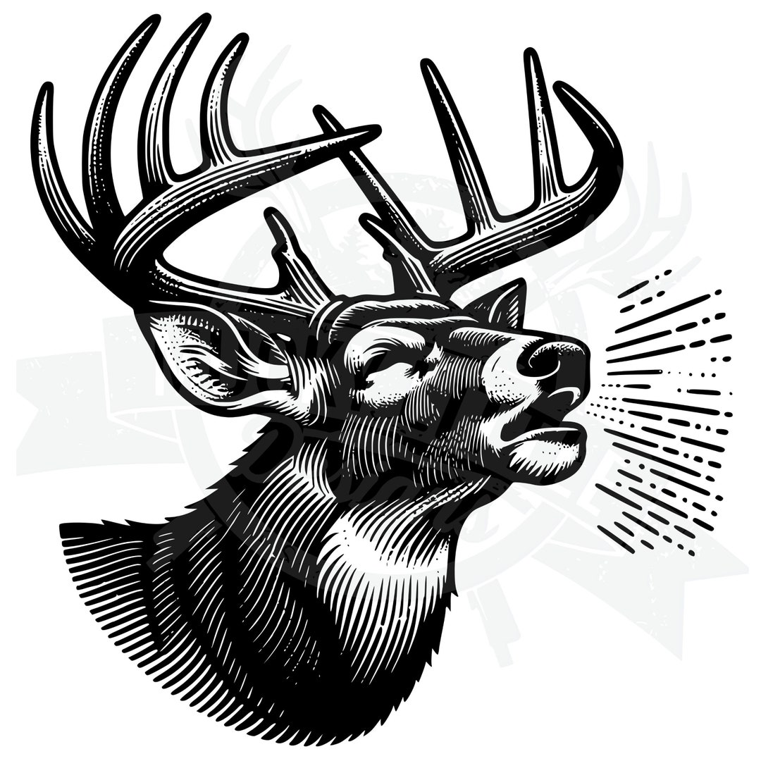 Buck SVG, Detailed Deer Head Svg, Whitetail Deer SVG, Big Buck Digital