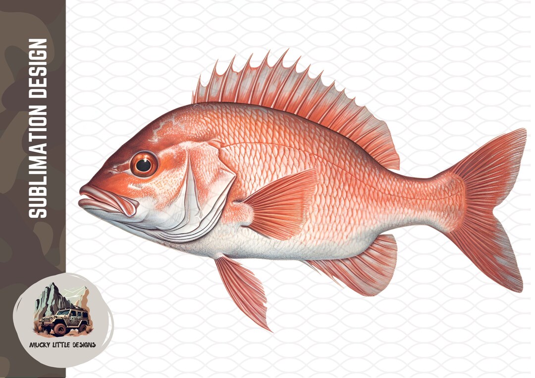 Red Snapper Sublimation Red Snapper Png, Red Fish Png, Red Snapper ...