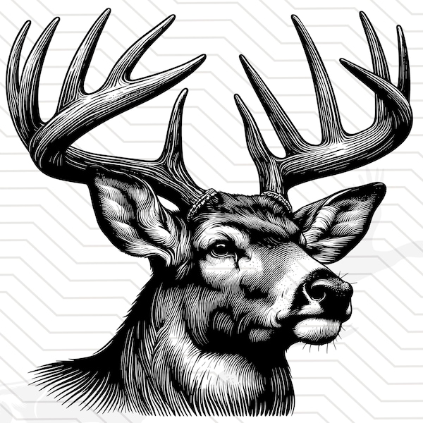 detaillierter Hirschkopf SVG, Weißwedelhirsch SVG, Big Buck Digitaler Download, Hirschjagd, Jagd SVG, Buck SVG, Hirschsaison, Jagddesign