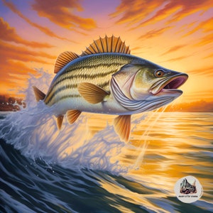  Striped Bass Fishing Decals with Baitfish Chased by