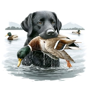Lago Labrador negro png / Labrador negro con fondo transparente de pato archivo de impresión digital dtg / Sublimación de caza de patos / Caza de patos Png